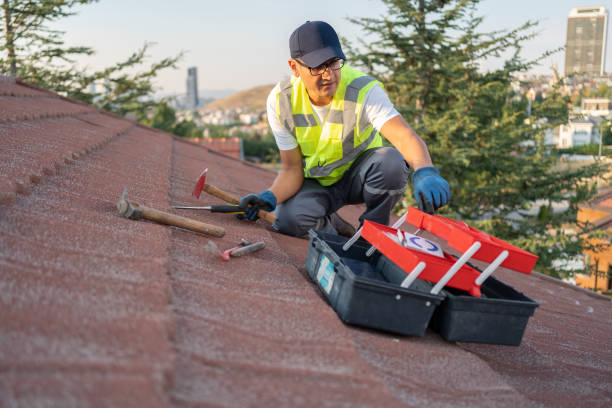 Best Fascia and Soffit Installation  in Lanai City, HI